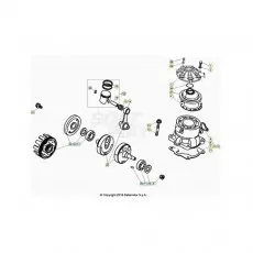 Beta EVO300 2T 21 Kurbelwelle/Kolben/Ausgleichswelle Nur Heute