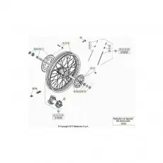 Echt Beta EVO250 21 Hinterrad