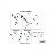 Beta EVO250 21 Kabelstrang Gratis Versand