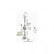 Sonderangebot Beta EVO250 21 Vergaser 2