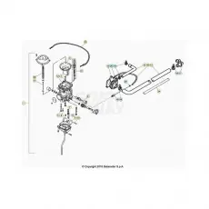 Mega-Angebot Beta Alp 200 21 Vergaser