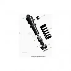 Beta EVO300 Factory 21 Schwingarm/Federbein Sale
