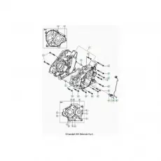 Beta RR125 LC 4T 21 Motorgehäuse Nur Für Kurze Zeit