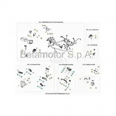 Direktkauf Beta RR50 19 Kabelstrang