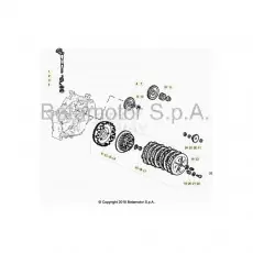 Beta RR50 19 Primärtrieb/Kupplung Garantierte Lieferung