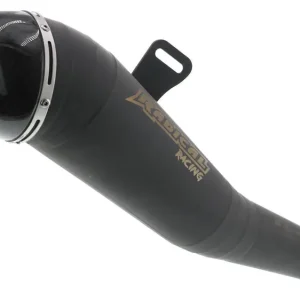 Auspuffanlage Radical Racing GP Carbon Black Line Versand Am Gleichen Tag