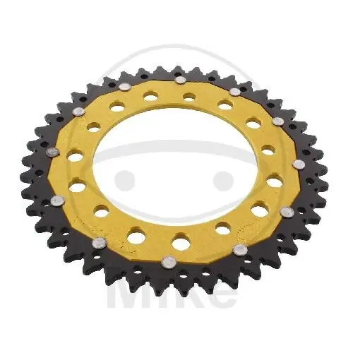 Must-Have PignoneDUA 43 denti passo 520 GO ZF 120 / 140